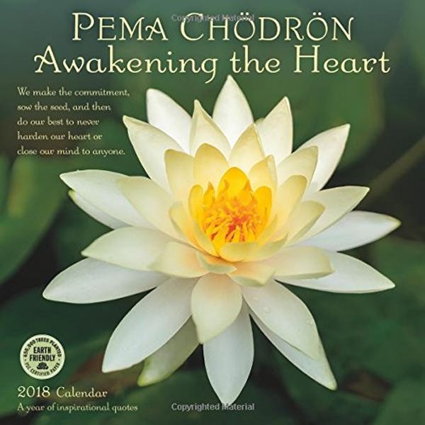 Cover Art for 9781631362934, Pema Chödrön Awakening the Heart 2018 Calendar by Unknown