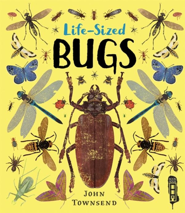 Cover Art for 9781912537747, Life-Sized BugsLife-Sized by John Townsend