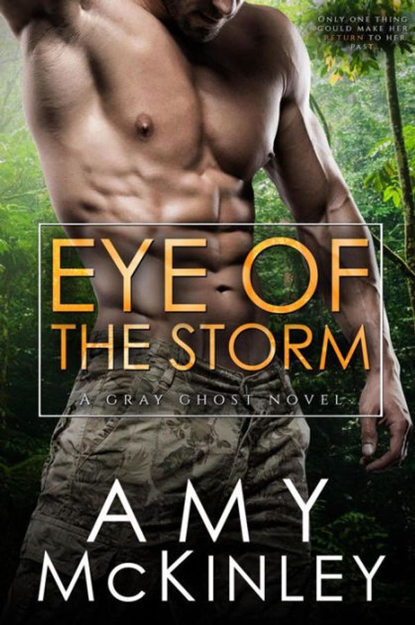 Cover Art for 9780999428023, Eye of the Storm: Volume 2 (A Gray Ghost Novel) by Amy McKinley