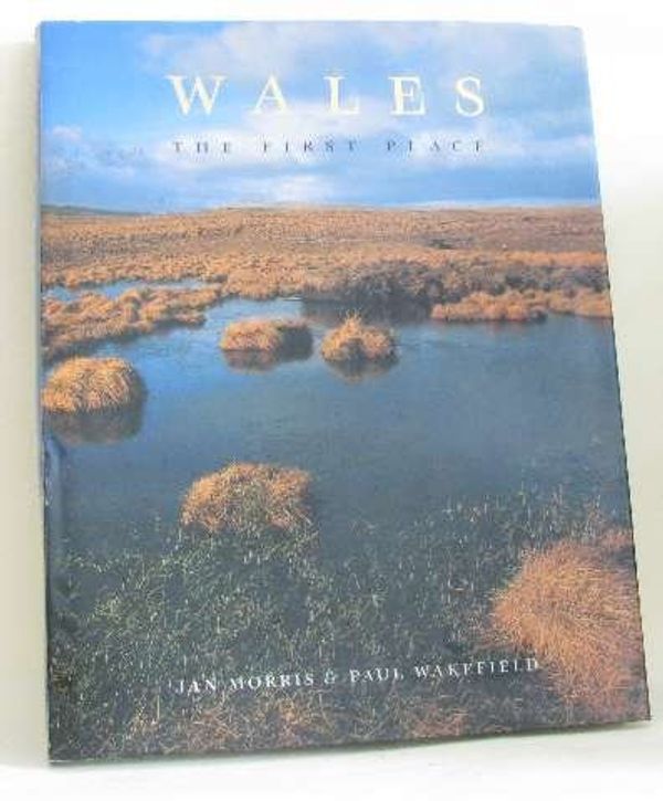 Cover Art for 9781860198250, Wales: The first place by Jan Morris