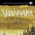 Cover Art for 9780345444615, Elfstones of Shannara by Terry Brooks
