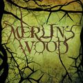 Cover Art for 9780575084193, Merlin's Wood by Robert Holdstock