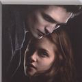 Cover Art for 9789062495580, Twilight: Een levensgevaarlijke liefde by Stephenie Meyer