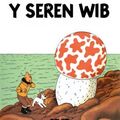Cover Art for 9781906587222, Y Seren Wib by Herge