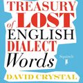 Cover Art for 9781509801763, The Disappearing Dictionary by David Crystal