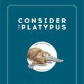 Cover Art for 9780316418393, Consider the Platypus: Evolution Through Biology's Most Baffling Beasts by Maggie Ryan Sandford