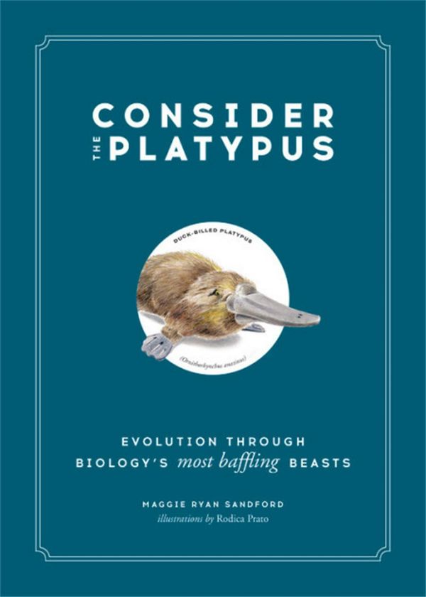 Cover Art for 9780316418393, Consider the Platypus: Evolution Through Biology's Most Baffling Beasts by Maggie Ryan Sandford