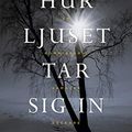 Cover Art for 9789178930838, Hur ljuset tar sig in by Louise Penny