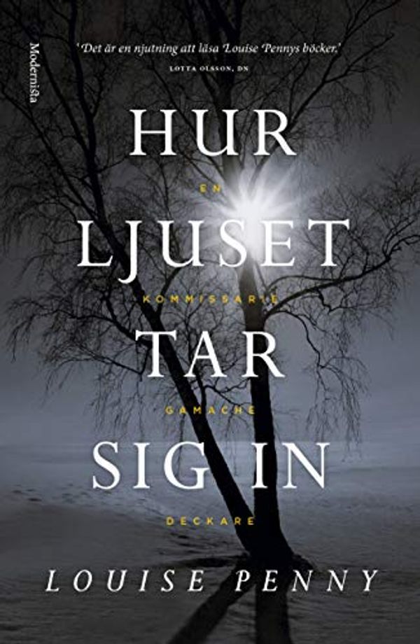 Cover Art for 9789178930838, Hur ljuset tar sig in by Louise Penny