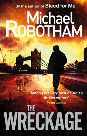 Cover Art for 9780751541106, The Wreckage by Michael Robotham