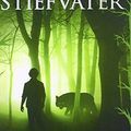 Cover Art for 9781680650914, Linger by Maggie Stiefvater