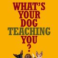 Cover Art for 9781743097939, What's Your Dog Teaching You? by Martin McKenna