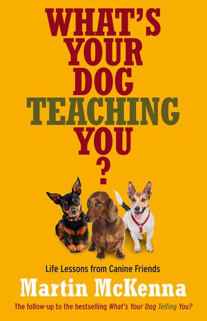 Cover Art for 9781743097939, What's Your Dog Teaching You? by Martin McKenna