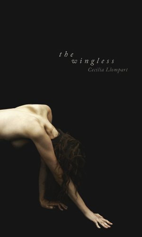Cover Art for 9780887485831, The Wingless by Cecilia Llompart