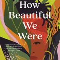 Cover Art for 9780593132449, How Beautiful We Were by Imbolo Mbue