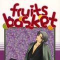 Cover Art for 9781594973178, Fruits Basket by Natsuki Takaya