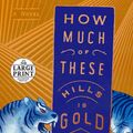 Cover Art for 9780593171844, How Much of These Hills Is Gold by C Pam Zhang