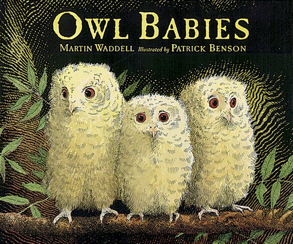 Cover Art for 9780763612832, Owl Babies by Martin Waddell