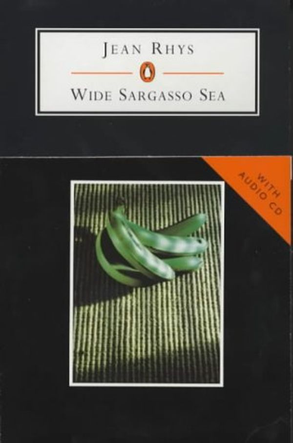 Cover Art for 9780140818024, Wide Sargasso Sea by Jean Rhys