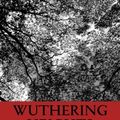 Cover Art for 9781480046535, Wuthering Heights by Brontë, Emily