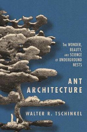 Cover Art for 9780691179315, Ant Architecture: The Wonder, Beauty, and Science of Underground Nests by Walter R. Tschinkel