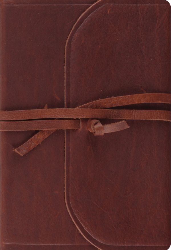 Cover Art for 9781433588549, ESV Student Study Bible (Brown, Flap with Strap) by .