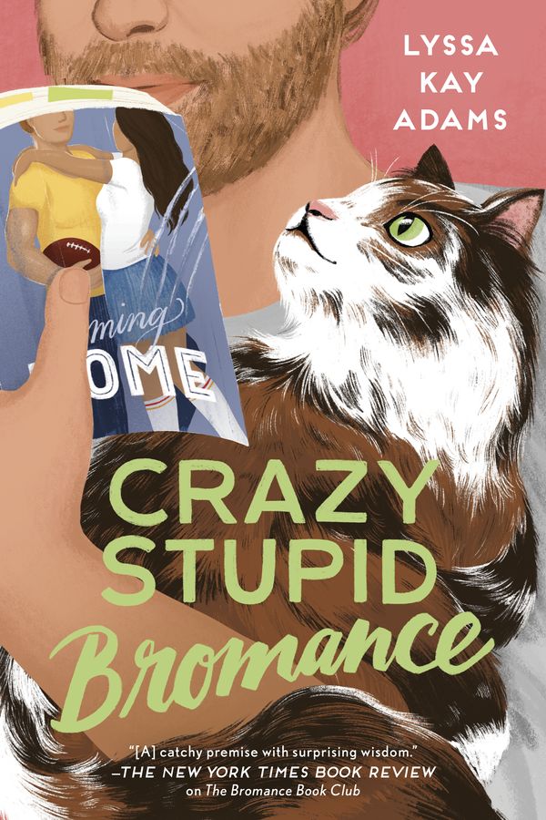 Cover Art for 9781984806130, Crazy Stupid Bromance by Lyssa Kay Adams