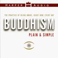 Cover Art for 9780694521234, Buddhism Plain & Simple by Steve Hagen