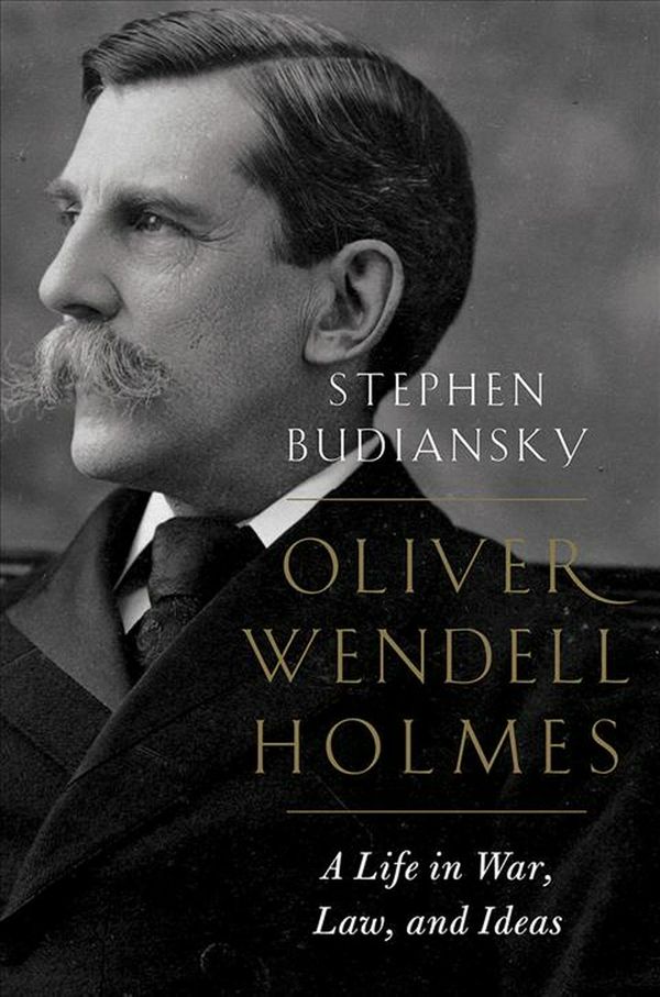 Cover Art for 9780393634723, Oliver Wendell Holmes: A Life in War, Law, and Ideas by Stephen Budiansky