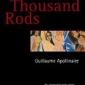 Cover Art for 9780971457898, The Eleven Thousand Rods by A Apollinaire