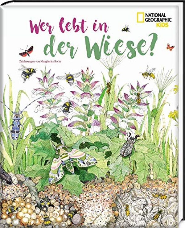 Cover Art for 9788854040830, Wer lebt in der Wiese: National Geographic KiDS by Margherita Borin