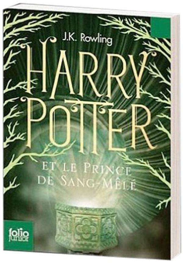 Harry Potter (In French) (French Edition)