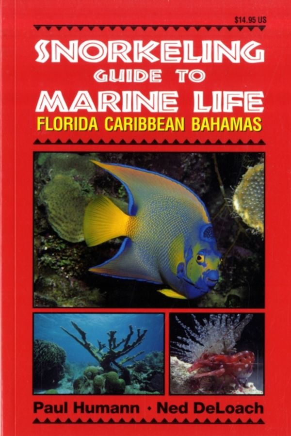 Cover Art for 9781878348104, Snorkeling Guide to Marine Life: Florida, Caribbean, Bahamas by Paul Humann