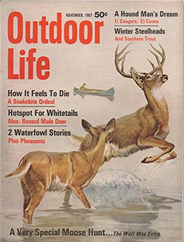Cover Art for B01MXR1JRH, Outdoor Life (incorporating: Leisure Living and The Fisherman), vol. 140, no. 5 (November 1967): How It Feels to Die: A Snakebite Ordeal; Hotspot for Whitetails; Special Moose Hunt (Wolf Was Extra) by Judd Grindell, H. J. Samuels, Roderick Haig-Brown