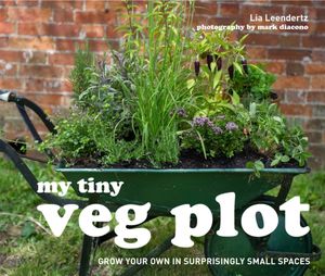 Cover Art for 9781910496053, My Tiny Veg Plot by Lia Leendertz