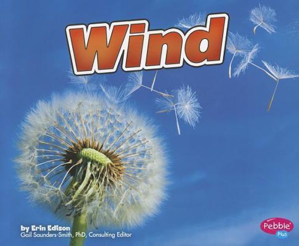 Cover Art for 9781429670821, Wind by Erin Edison