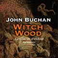 Cover Art for 9780755117215, Witch Wood by John Buchan