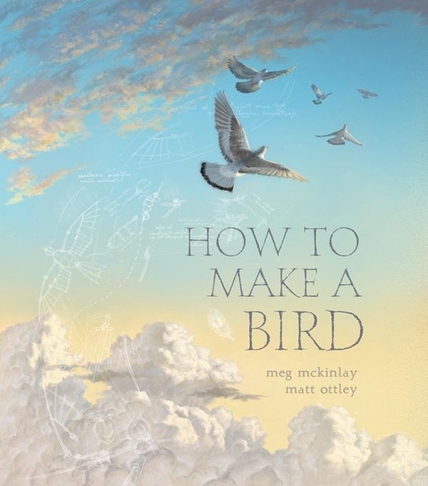 Cover Art for 9781925381894, How To Make A Bird by Meg McKinlay