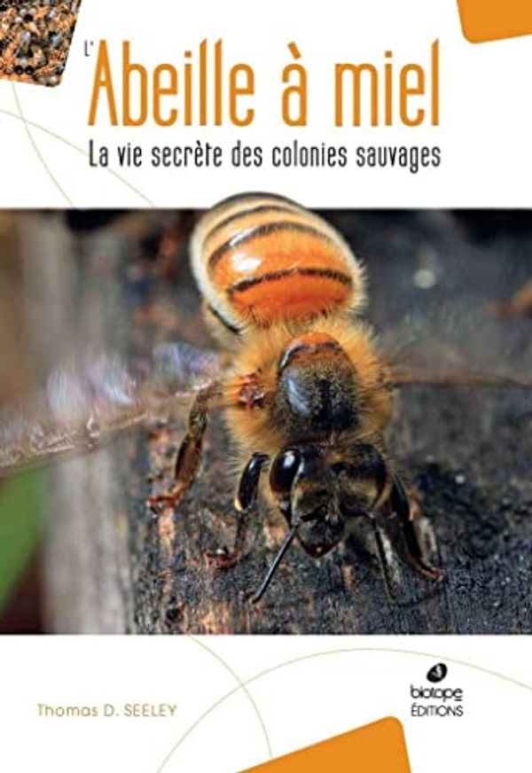 Cover Art for 9782366622454, L'abeille à miel: La vie secrète des colonies sauvages by THOMAS D. SEELEY