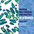 Cover Art for 9781118257395, Medical Microbiology and Infection at a Glance by Stephen Gillespie, Kathleen Bamford