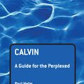 Cover Art for 9780567431813, Calvin by Helm, Paul