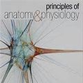 Cover Art for 9781118774564, Principles of Anatomy and Physiology 14e with Atlas of the Skeleton Set by Gerard J. Tortora