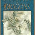 Cover Art for 9780810932371, The Discovery of Dragons by Graeme Base