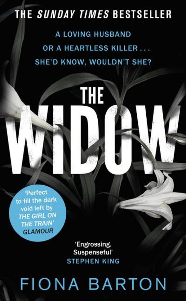 Cover Art for 9780552173070, Widow by Fiona Barton