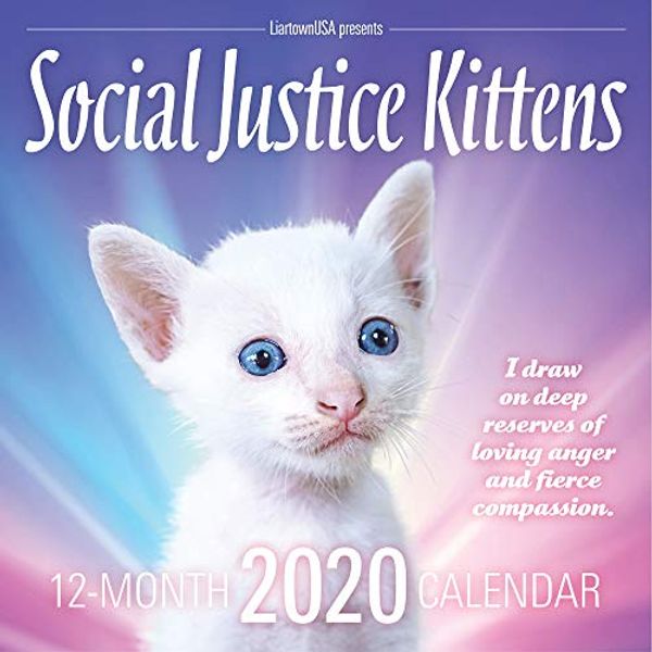 Cover Art for 0878223002893, Sean Tejaratchi Social Justice Kittens 2020 Calendar by 
