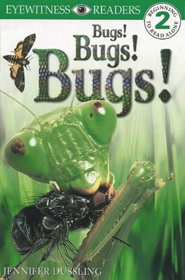 Cover Art for 9780751358575, Bugs! Bugs! Bugs! by Jennifer Dussling