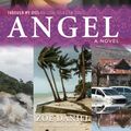 Cover Art for 9781760113773, Angel: Through My Eyes - Natural Disaster Zones by Zoe Daniel