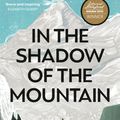 Cover Art for 9781913183790, In the Shadow of the Mountain by Silvia Vasquez-Lavado