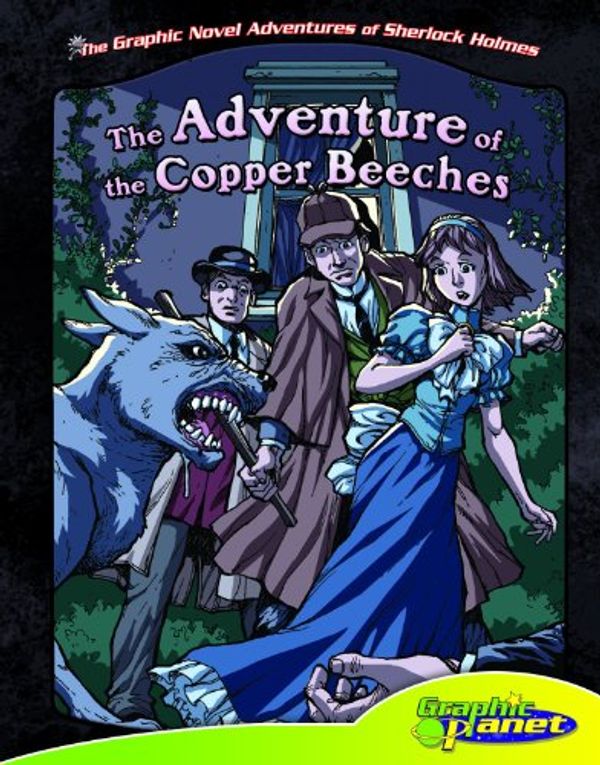 Cover Art for 9781616418922, The Adventure of the Copper Beeches by Vincent Goodwin