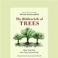Cover Art for 9781525231858, The Hidden Life of Trees by Peter Wohlleben